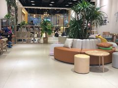 大堂-藏猫猫咖啡主题馆(中央大道店)