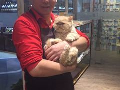 -小时光咖啡馆(开森度假森林店)