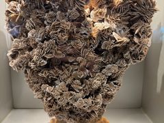 -甘肃地质博物馆