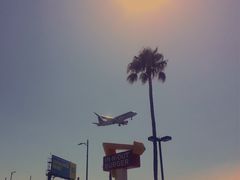 -In-N-Out Burger(LAX)