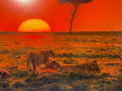 -罗红摄影艺术馆