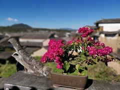 -妈妈的味道(和顺古镇店)