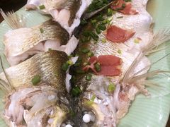 -虎哥私房菜(馒头山店)