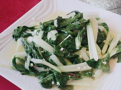 -麻奢鸽农庄·梦里水乡
