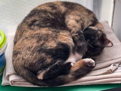 -旧天堂书店(华侨城创意文化园南山特色文化街区店)