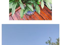 -素心小筑(后沙裕镇店)