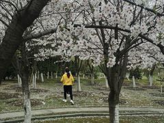 -江南大学(蠡湖校区)