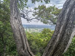 -北京西山国家森林公园
