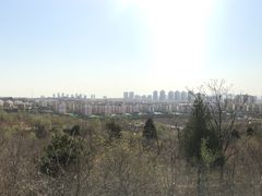-府君山公园