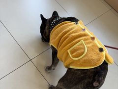 -美迦爱-牙专科·兔科·骨科诊疗中心(北苑店)