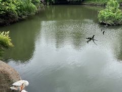 -钰园(水绘园店)