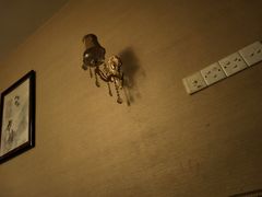 -摩音养生SPA(水湾店)