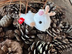 -神户市立六甲山牧场