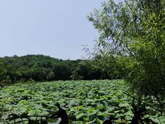 -盘龙城国家考古遗址公园