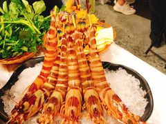 -鲜入围煮花胶鸡海鲜火锅