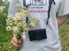 -白鹭湾湿地公园