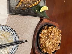 -熊串烧亭.居酒屋(珠江路店)