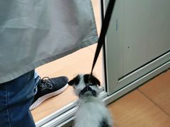 -小叮当动物医院·骨科·眼科