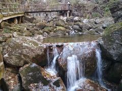 -牛背梁国家森林公园