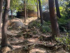 -火炉山森林公园