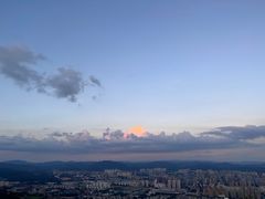 -长虫山生态公园风景林