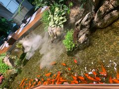 大堂-森味薪火烧•烧鸟居酒屋•日本料理(望京店)