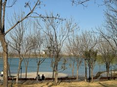 -象湖生态湿地公园