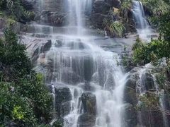 -海南热带雨林国家公园吊罗山景区