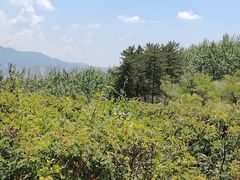 -青藏高原野生动物园