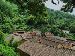 -杨家堂村