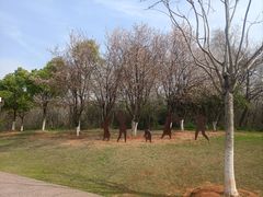 -盘龙城国家考古遗址公园