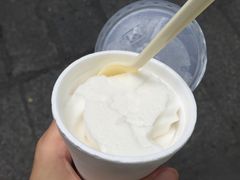 -洪馨椰子