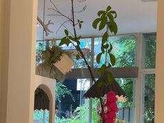 -春树下·树屋花房西餐厅(罍街AS1980店)