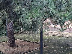 iphone_upload_pic-泰山红门国际青年旅舍