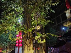 -靖西锦绣古镇景区