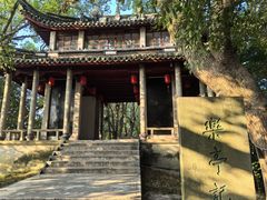 -溪口-滕头旅游景区
