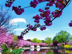 -石家庄市植物园