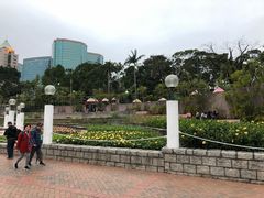 -九龙公园