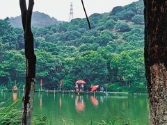 -东莞市大岭山森林公园