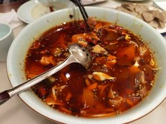 毛血旺-鸭匠食府·挂炉烤鸭·新京菜(阜成路店)