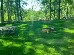 -北京野生动物园