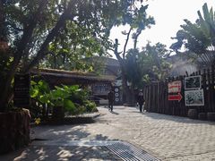 -海南槟榔谷黎苗文化旅游区