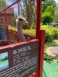 -萌宠亲子动物乐园(槐房万达店)