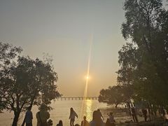 -宝安西湾红树林湿地公园