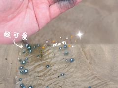 -长江澳风力发电景观区
