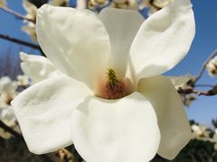 -钱塘花园·宁波菜