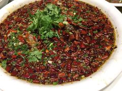 -院8里·少城记忆老川菜(宽窄巷子店)