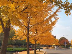 -山东科技大学（青岛校区）-图书馆