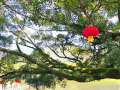 -云水谣景区
