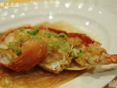 龙虾-阿一鲍鱼·20年匠心传承(天河北旗舰店)